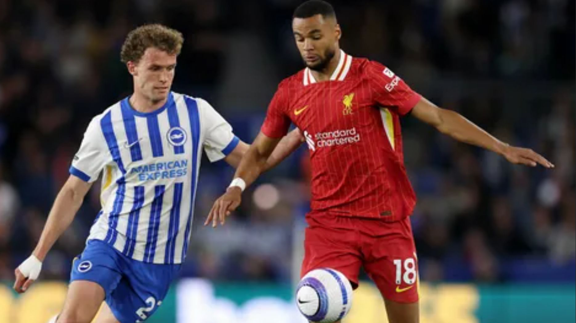 АПЛ! Ливерпуль-Брайтон! Превью Матча!