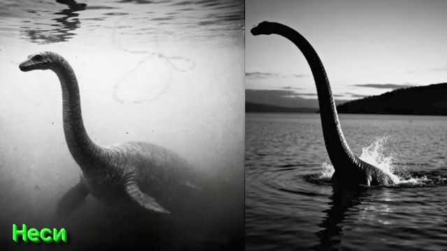 Ответы на Вопросы по Мистике от 13.12.25 Часть 2