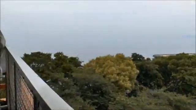 Гитарная музыка５４@TheLonelyBand