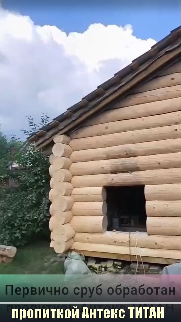 Выбираем ЦВЕТ сруба для покраски в ПЕПЕЛЬНЫЙ оттенок цветным Масловоск Анта по Антекс ТИТАН.