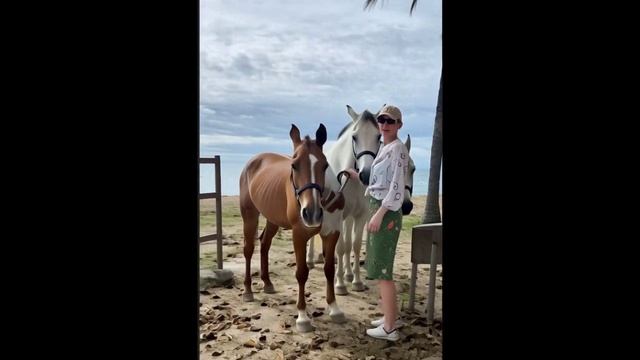 Я увлекаюся спортивною рыбалкой (Вилли Токарев) Cover version клип