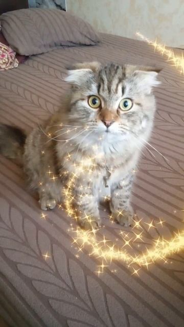 Новый проект