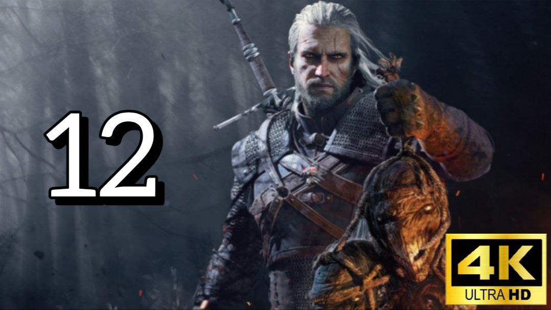 Ведьмак 3: Дикая Охота. Двенадцатая серия
