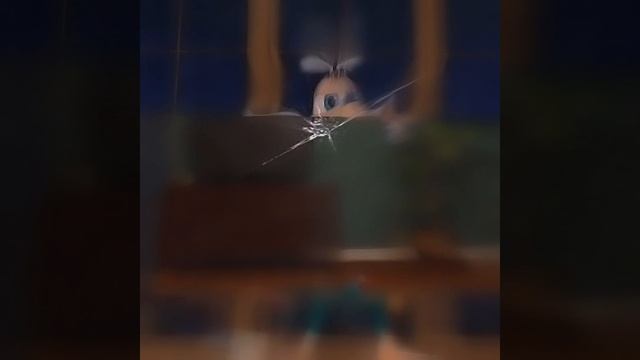 эдит с бубой