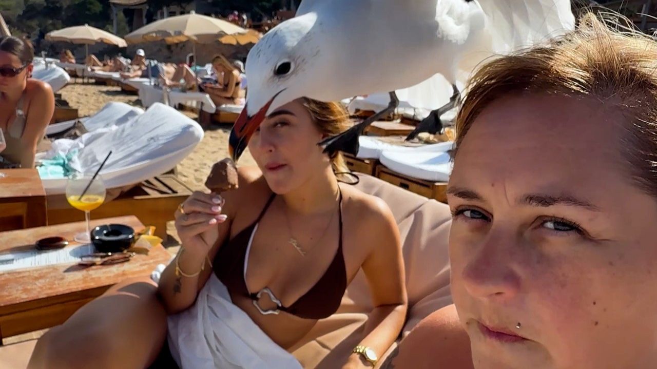 Подборка вирусных идиотов | Лучшие провалы недели