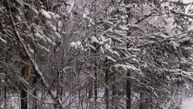 Прогулка по парку немного. Обзор моего помощника на кухне..