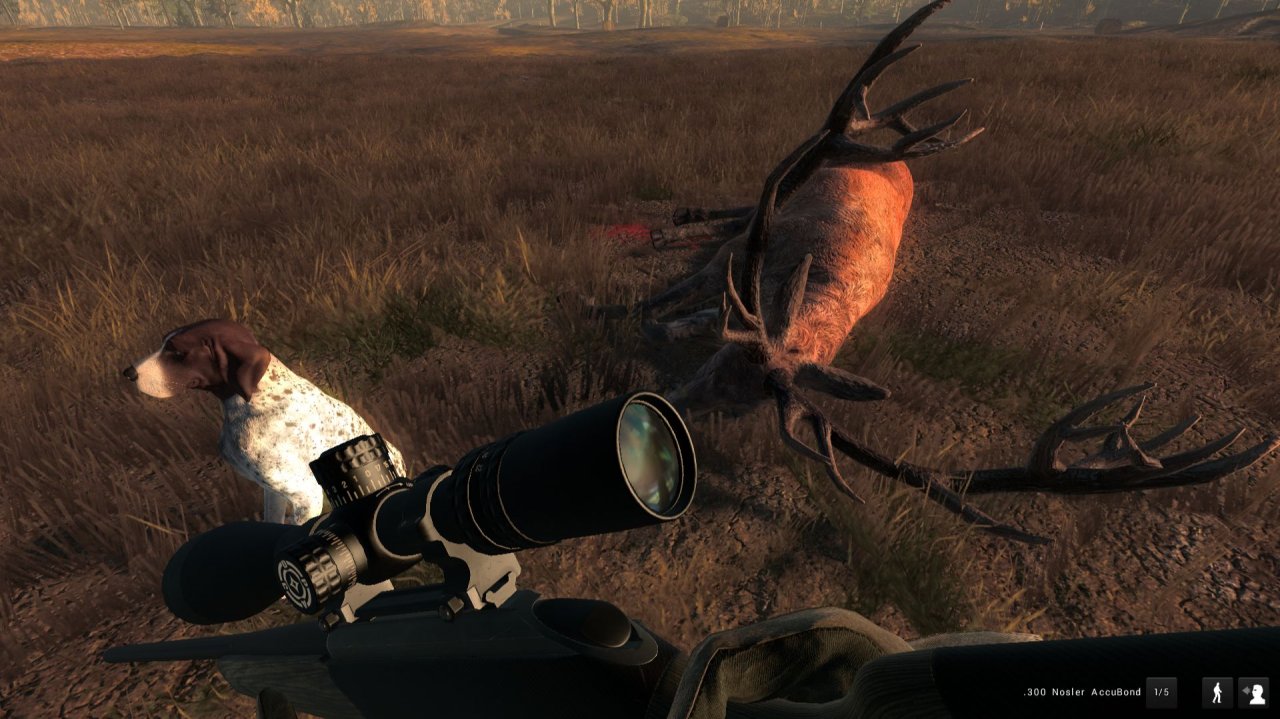 theHunter Classic СОРЕВНОВАНИЯ:Благородный олень,Косуля,Лиса Охотугодья:Hirschfelden