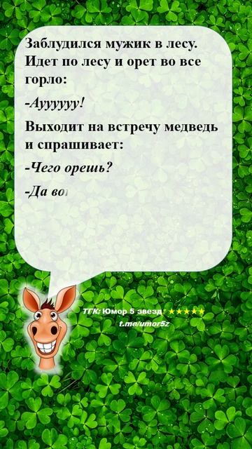 Юмор 5 звезд - #природа #анекдот #юмор #смешно #ржач
