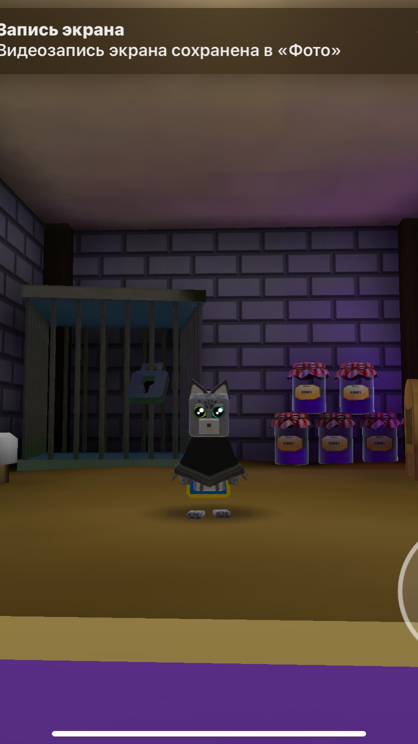 Секретка 4. Тайная комната брата Бареена