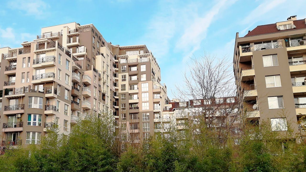 65 вопросов и ответов, связанных с визой Д и ВНЖ Болгарии. Стрим.