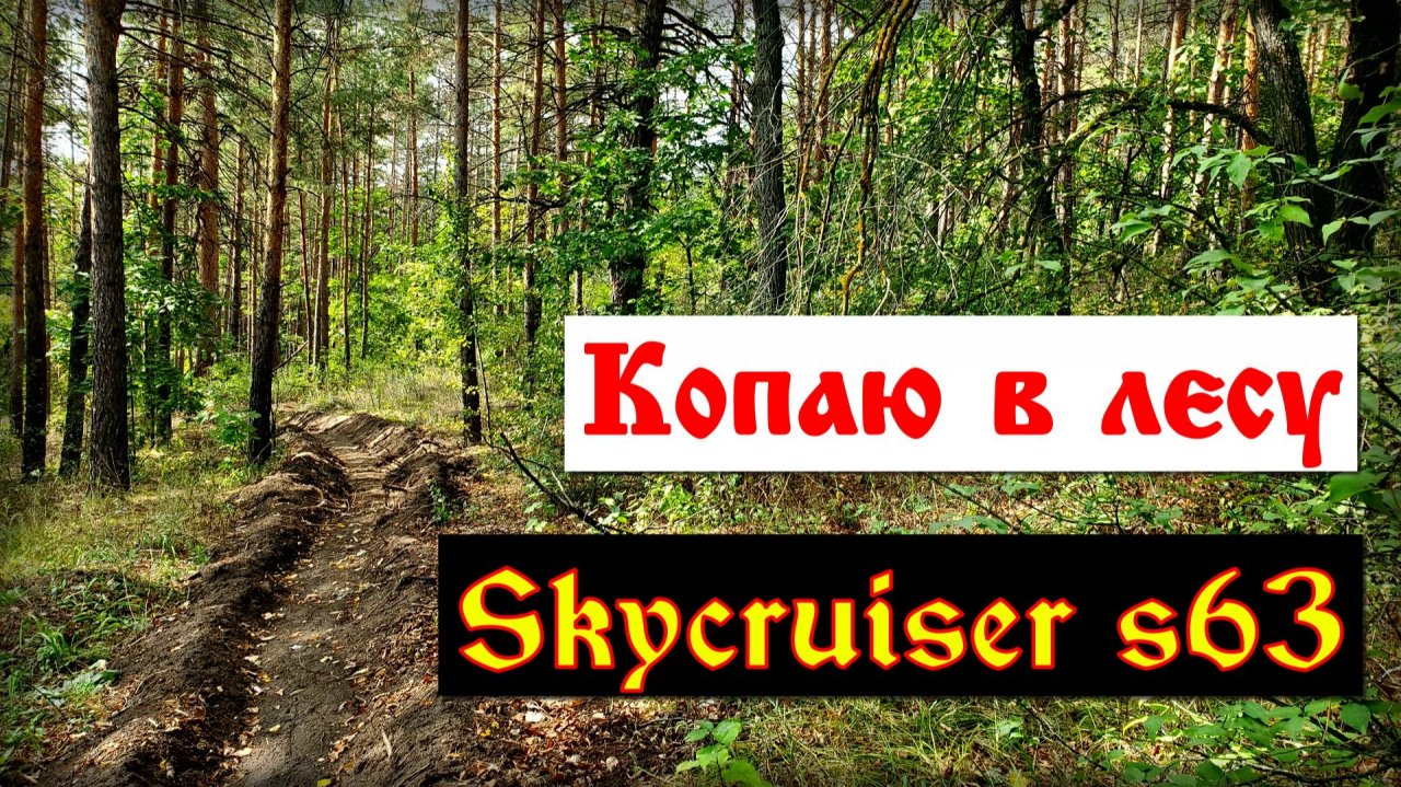 Вышел на поиски сокровищ в лесу и немного покопал на пляже.