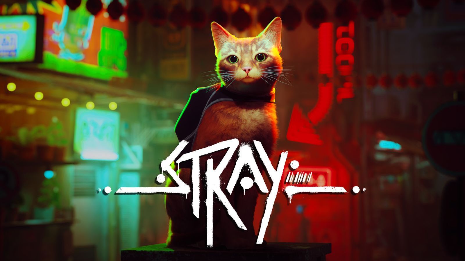 Stray: Жизнь 3