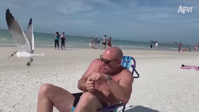 America′s Funniest Home Videos. Funniest Fails Caught on Camera 🎥 🤣 Best Fails of the Week