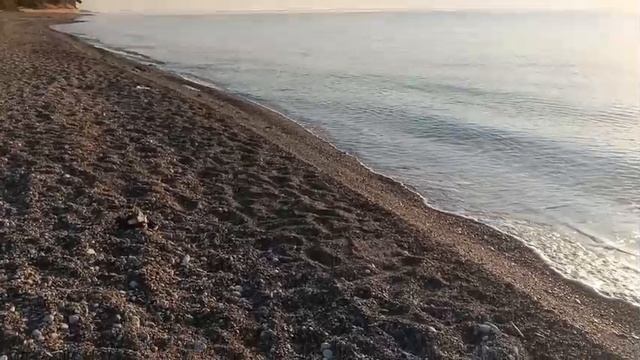 Если бы я мог вернуться назад, я бы...