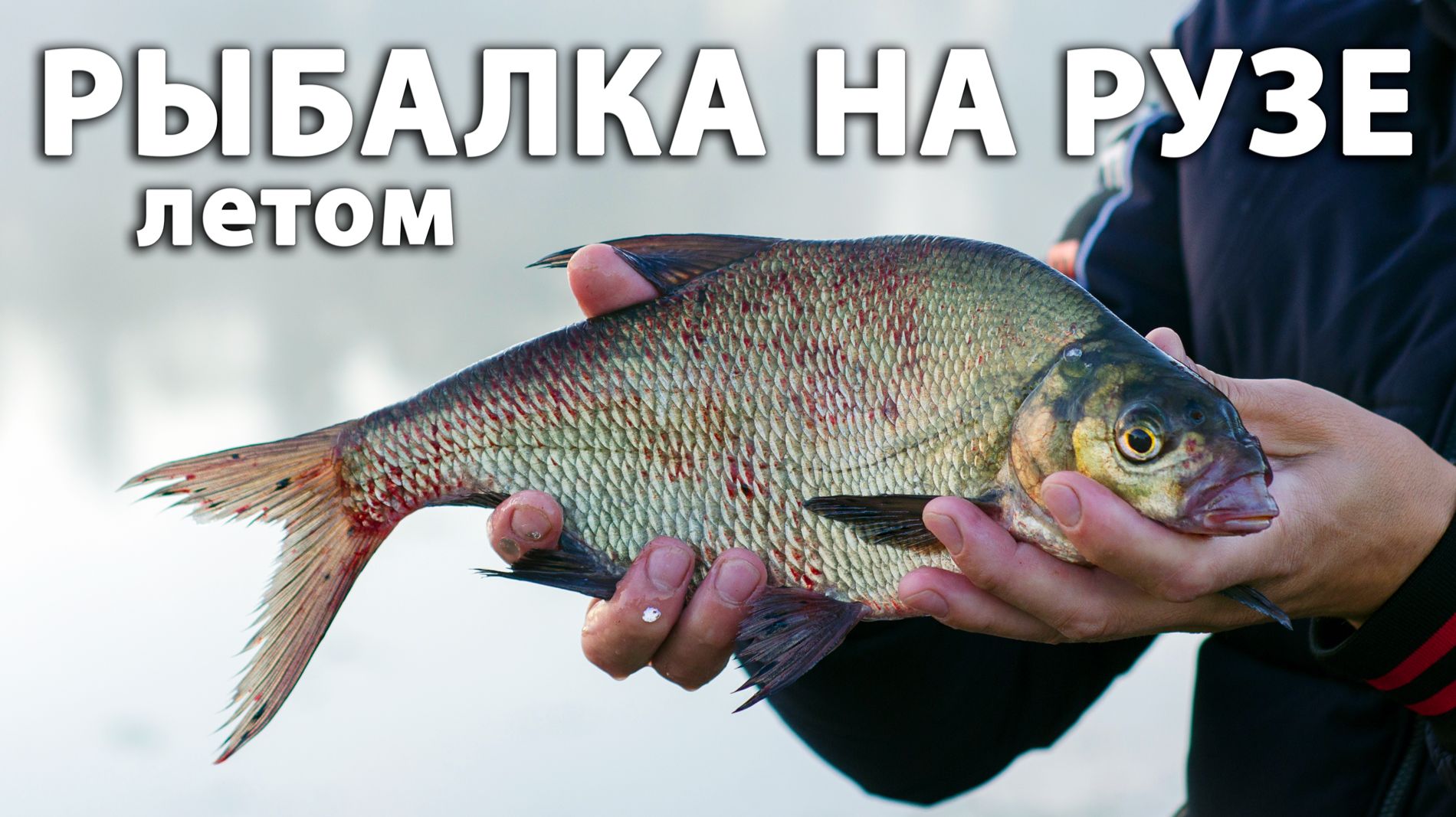 Рыбалка на Рузе летом. Ловля леща, подлещика и густеры на фидер.