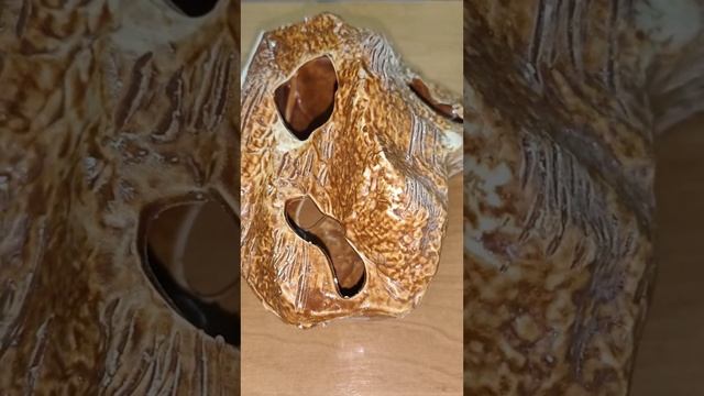 Подарочки от Маргариты для моих девчонок маисовых полозов! Огромное спасибо!