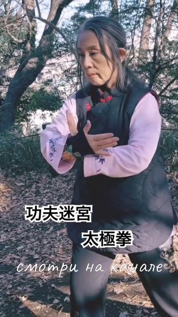 Лабиринты кунг-фу - Кунг-фу Мэйкю - Тайчи - Синъи - Цигун