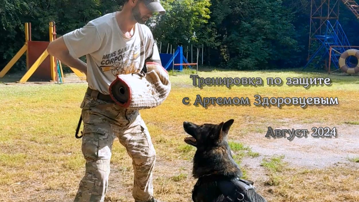 Август 2024 Тренировочные будни Викинга и Дэлики Из Тигровой Династии