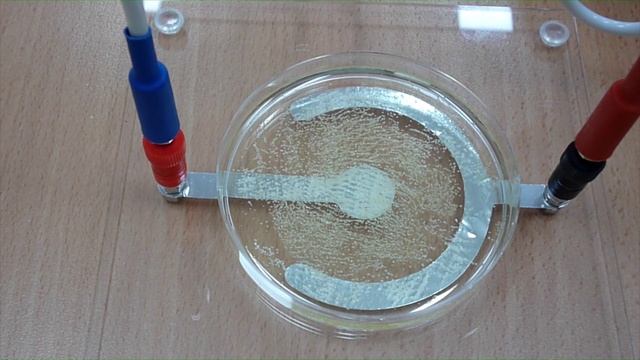 Визуализация электрического поля