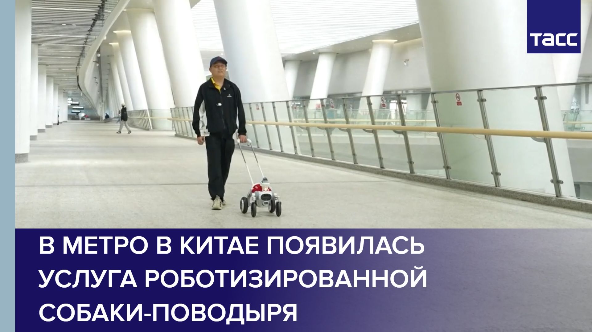В метро в Китае появилась услуга роботизированной собаки-поводыря