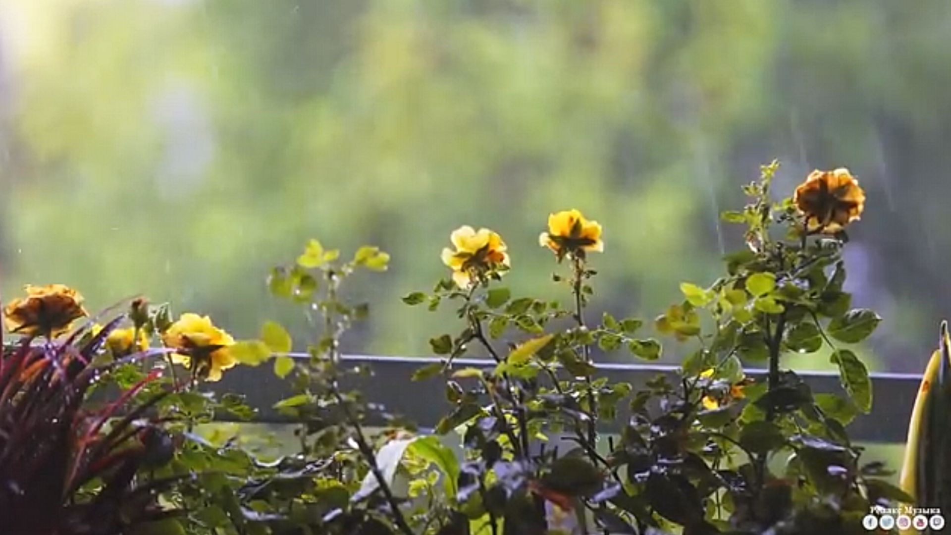 Вальс дождя @RelaxMusictv2023 •