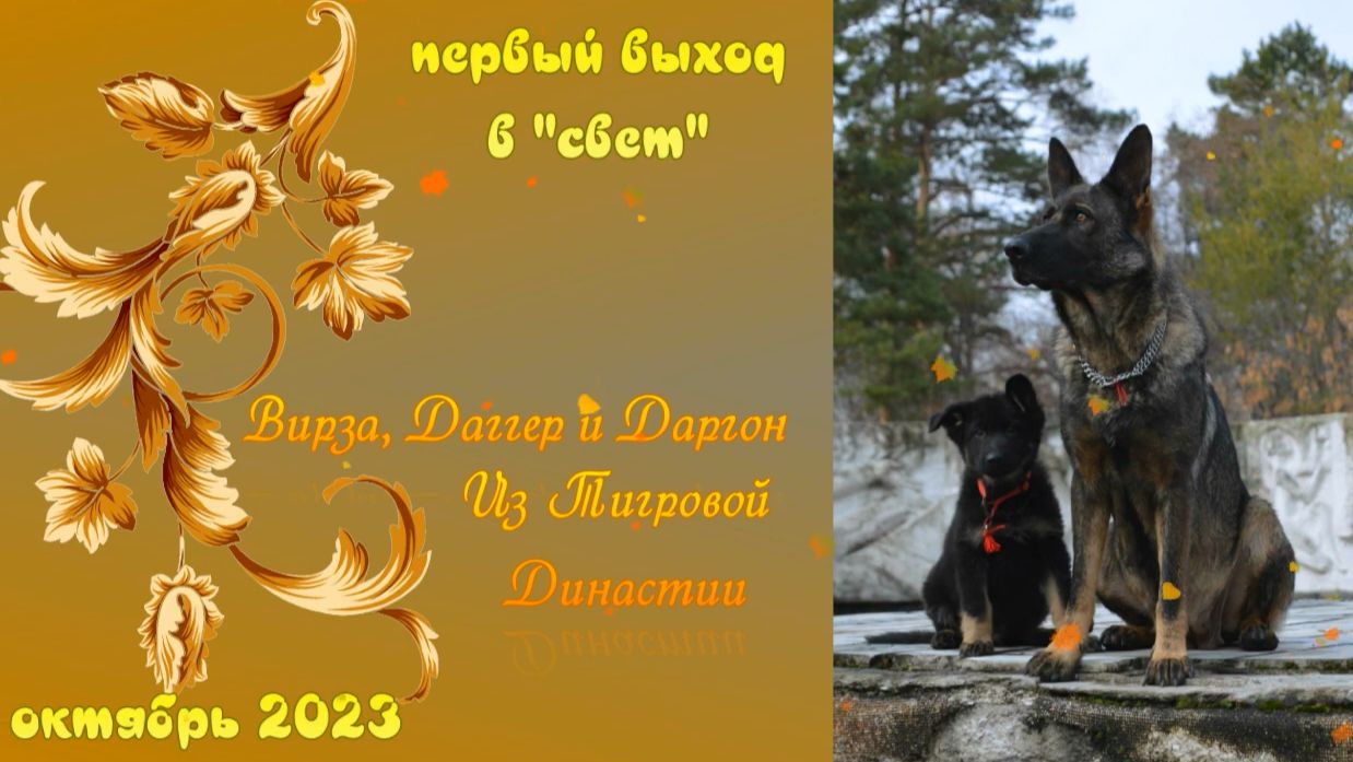 Мальчишки на прогулке))) Октябрь 2023