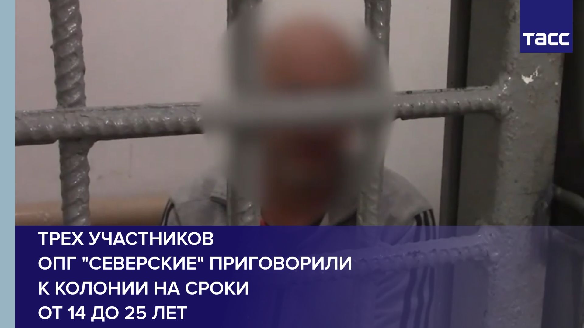 Трех участников ОПГ "Северские" приговорили к колонии на сроки от 14 до 25 лет