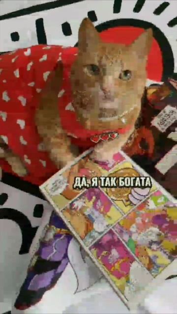 Смешные коты #97-7