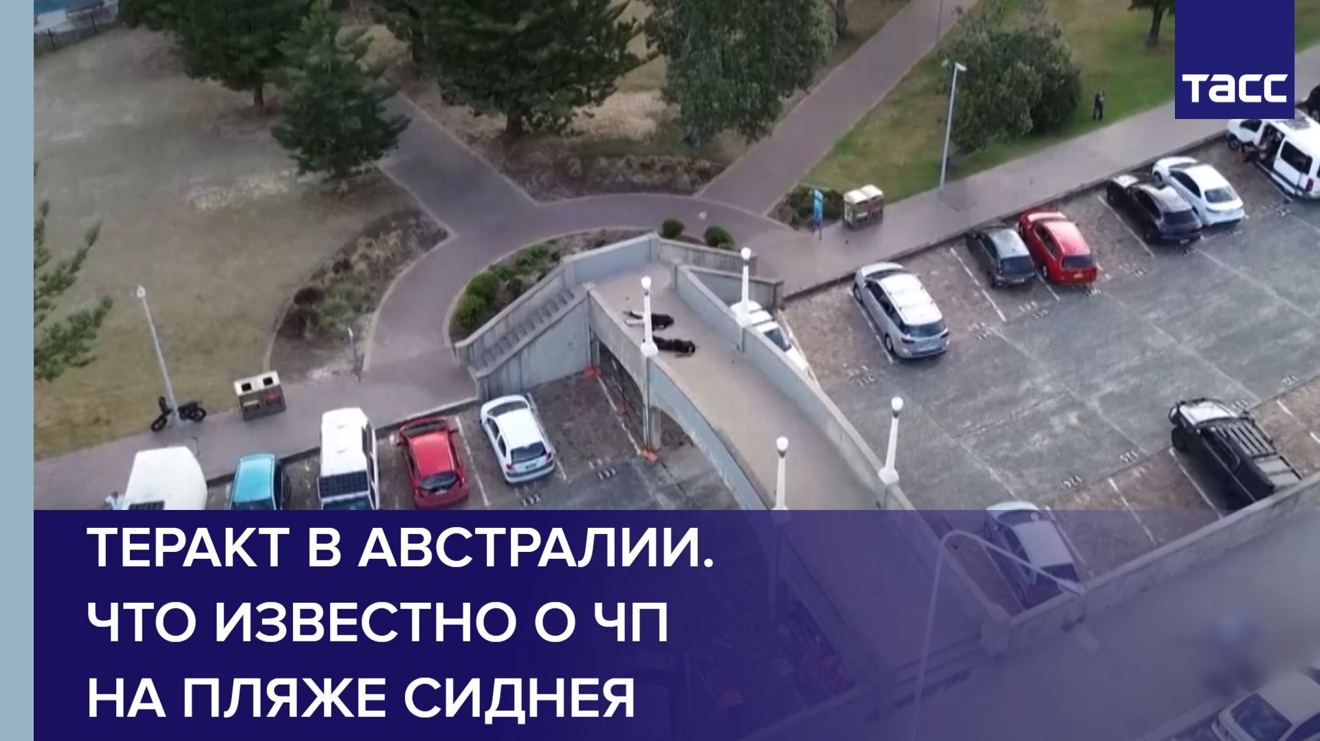 Теракт в Австралии. Что известно о ЧП на пляже Сиднея