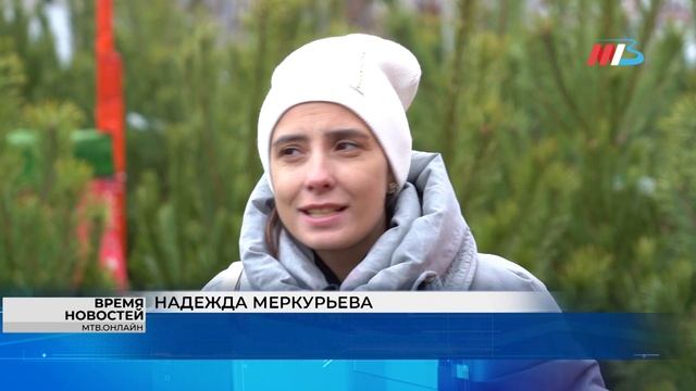 Первые елочные базары открылись в Волгограде