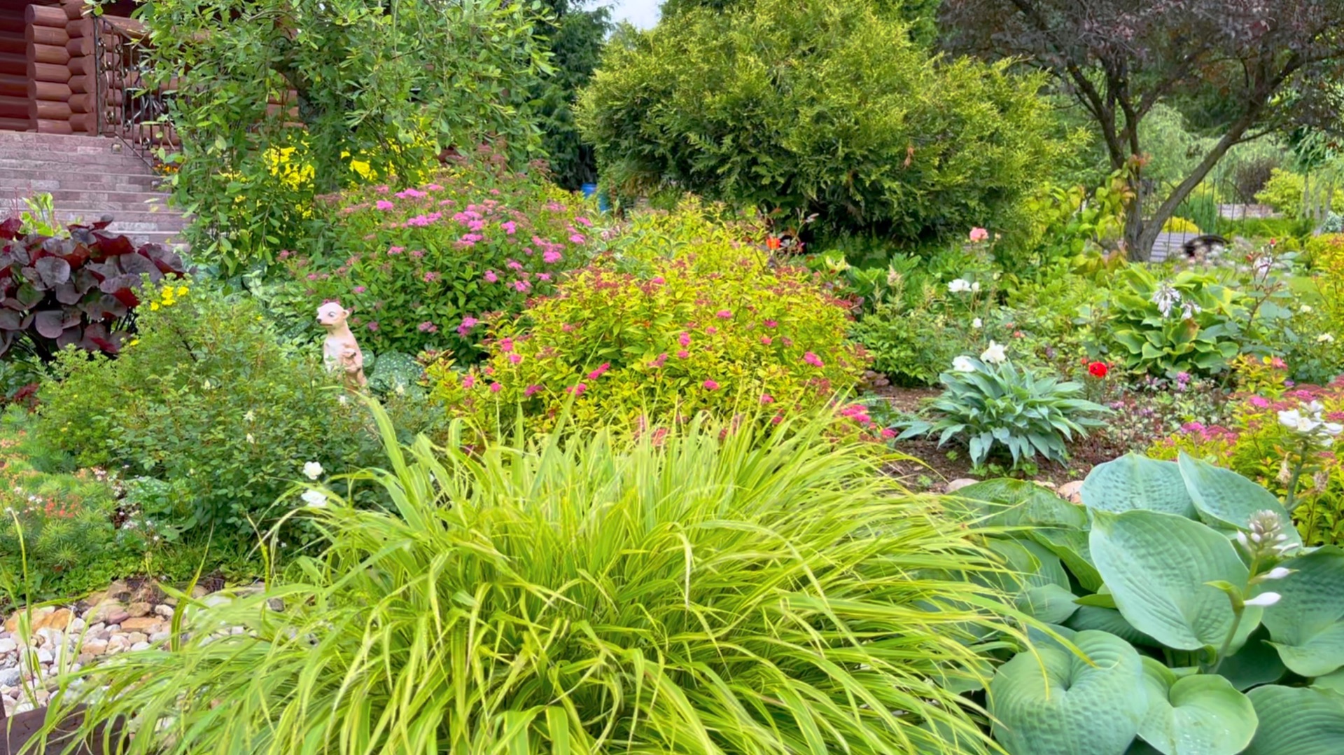 Сад в середине лета под звуки природы.