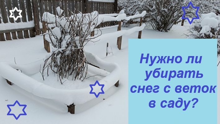 Нужно ли стряхивать снег с кустов и деревьев в саду?