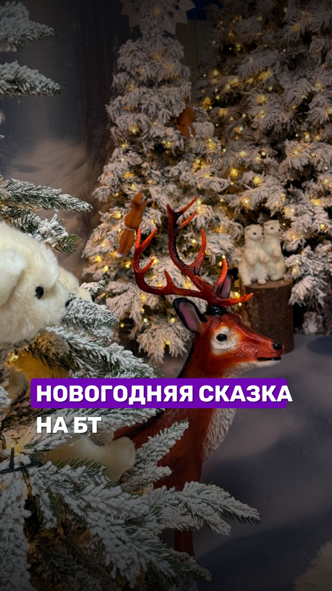 😍Просто посмотрите, как украсили БТ к Новому году! #бт #украшение #новыйгод #беларусь1 #подарки