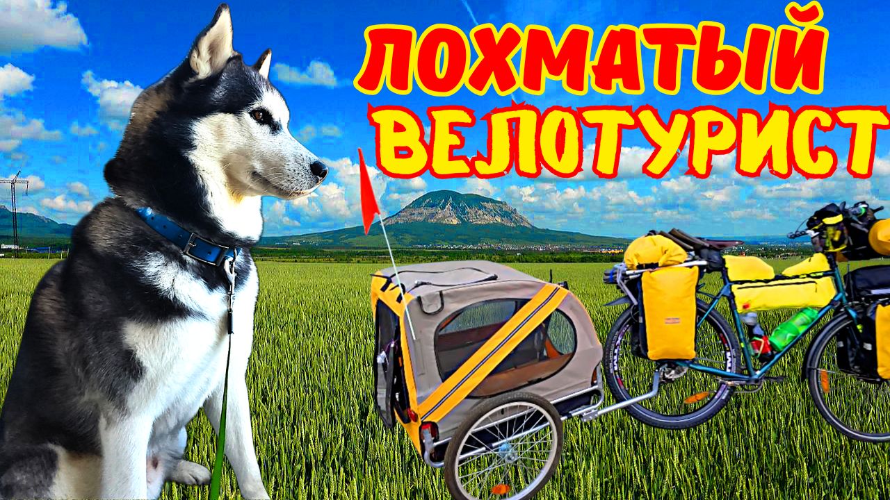 Велопутешествие с ХАСКИ по кличке «Джек». КМВ. Минводы-Железноводск