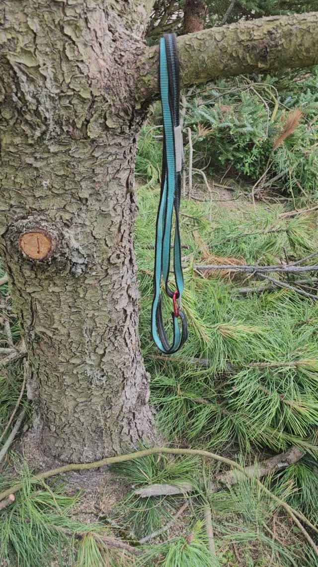 Упрощение подъема на деревья с помощью стремени