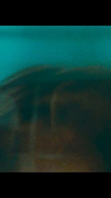 КУРОПАТКА В ГАЛСТУКЕ)) #смех #смешно #смешноевидео