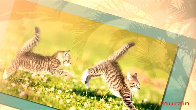 Cities In The Clouds 12