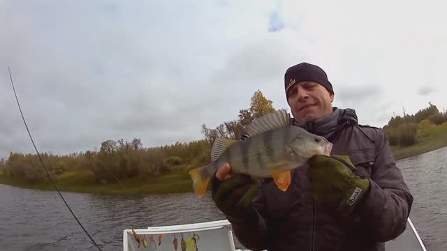 Вот это рыбалка.