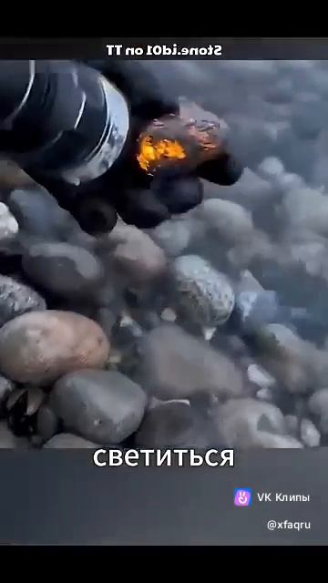 Интересно и любопытно