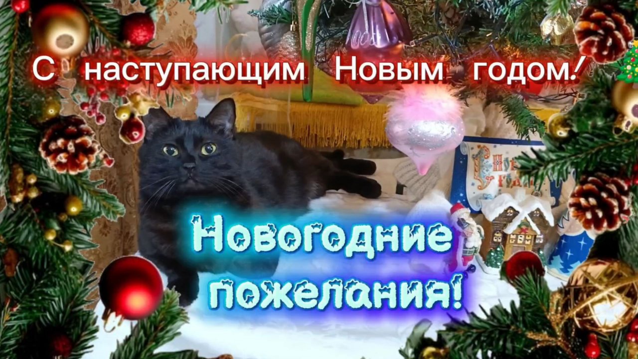 Новогодние пожелания! Новогоднее настроение!