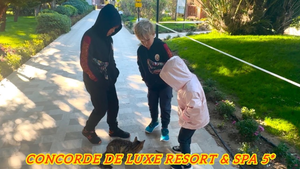 ‼️ДЕТИ ОТДЕЛЬНО, ВЗРОСЛЫЕ ОТДЕЛЬНО‼️ Отдыхаем в отеле Concorde De Luxe Resort & SPA 5*