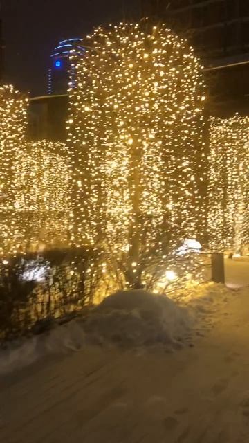 Новогодний наряд ул.Гоголя в Екатеринбурге