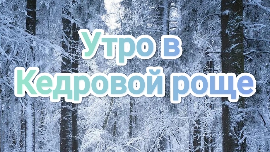 Утро в Кедровой роще
