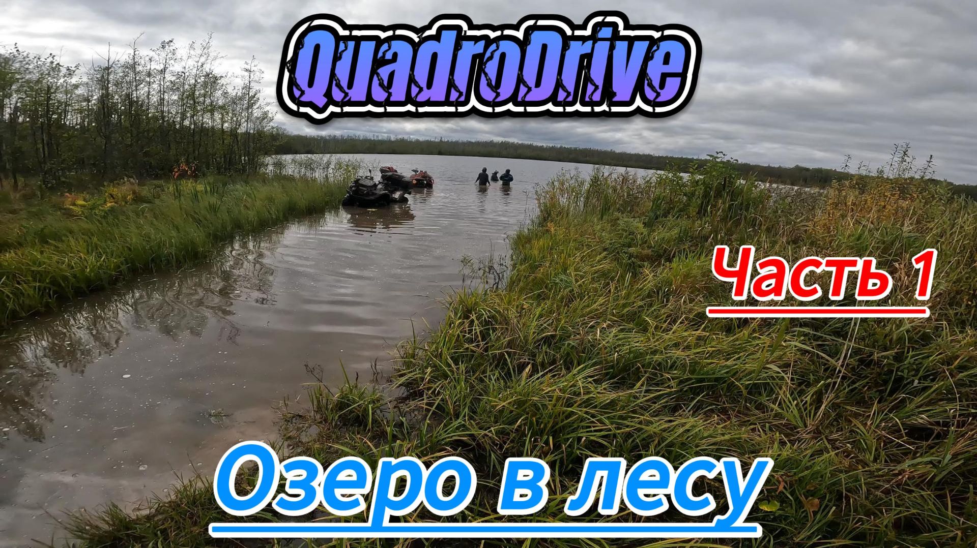 ОЗЕРО В ЛЕСУ. Часть 1