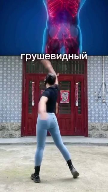 Седалищный нерв1