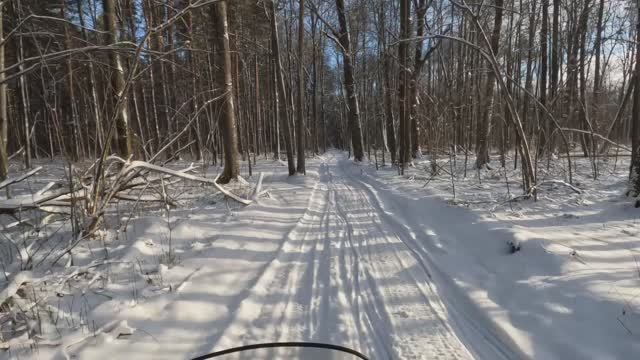 часть 3 Снегоход stels ставр часть третья, покатушки по лесу.Конец зимы 25-го года.