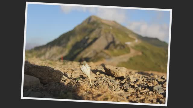 РОЗА ПИК И КАНАТНАЯ ДОРОГА СПУСК