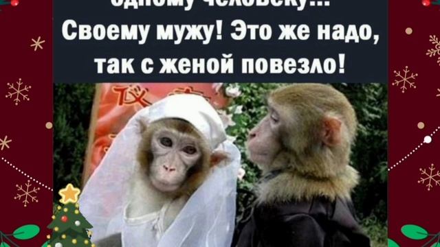 Мини подборка Юмора - выпуск 1 😂