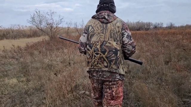 Охота на фазана с лайкой