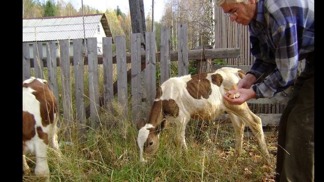 1-Проект -п.Гыркашор 2016г-03